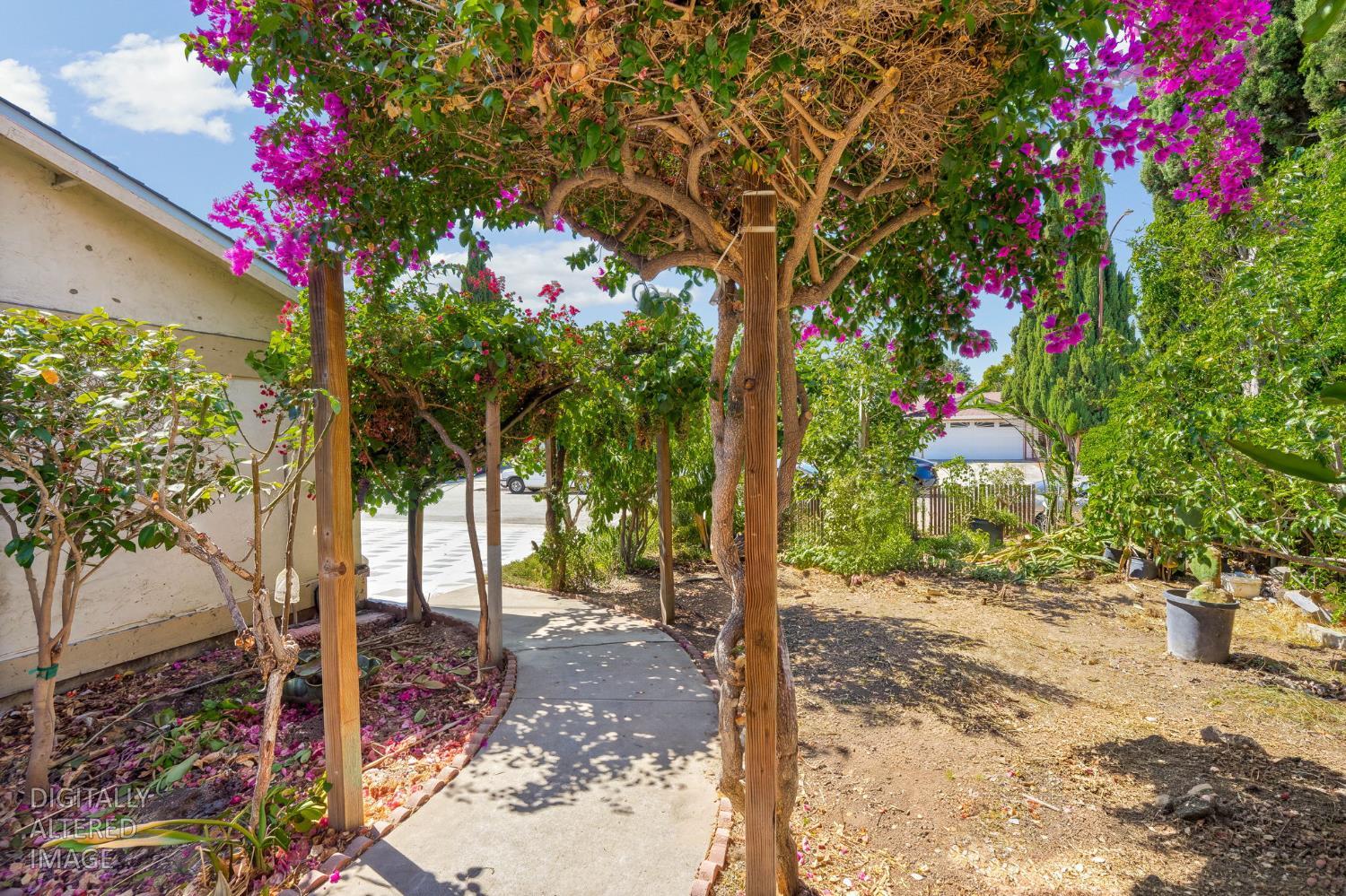 Residential in San Jose 3