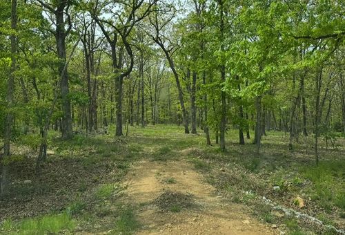 Lot 2 The Ridges, Austin Drive, Joplin, MO, 64804 | Card Image