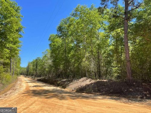0(2B) Farmers Rd, Alamo, GA, 30411 | Card Image