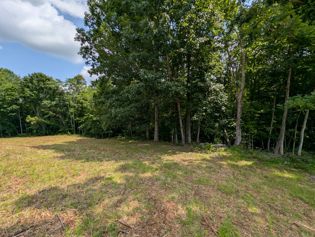 Land in Burkesville 4