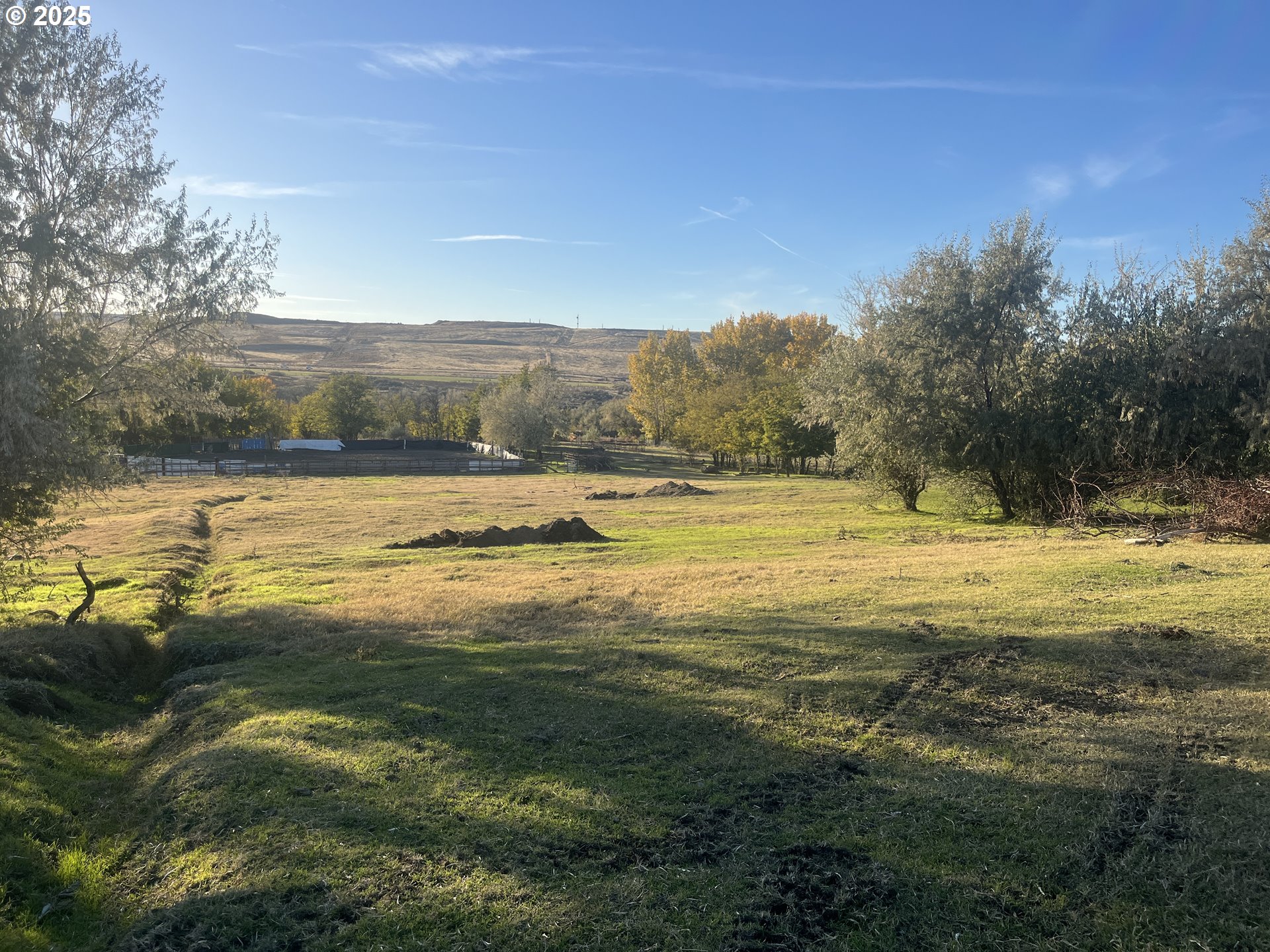 Land in Hermiston 3