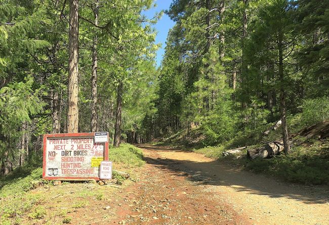 0 Forest Route 7 N42, House other with 1 bedrooms, 1 bathrooms and null parking in West Point CA | Image 19