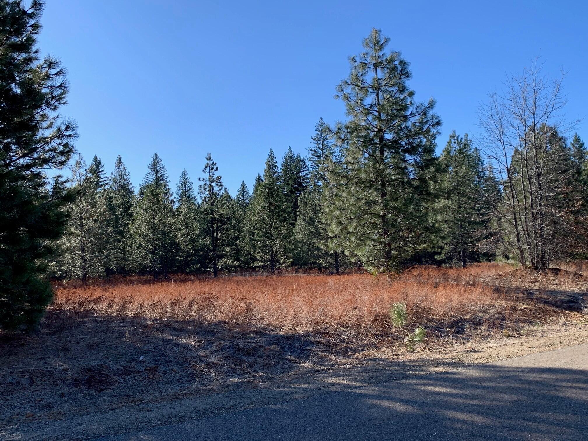 Land in Shingletown 3