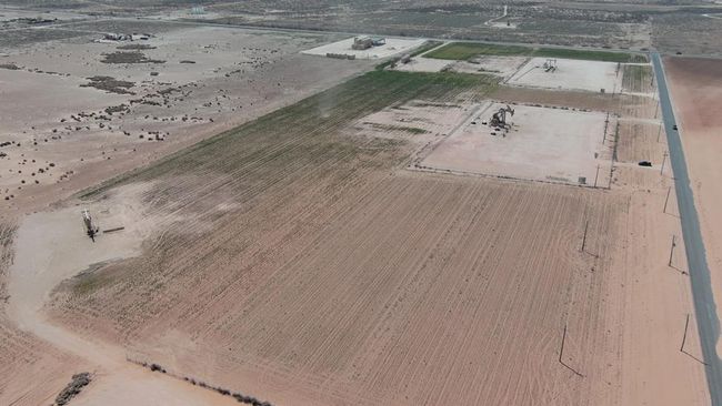 0000 Fm 1208, Home with 0 bedrooms, 0 bathrooms and null parking in Stanton TX | Image 12