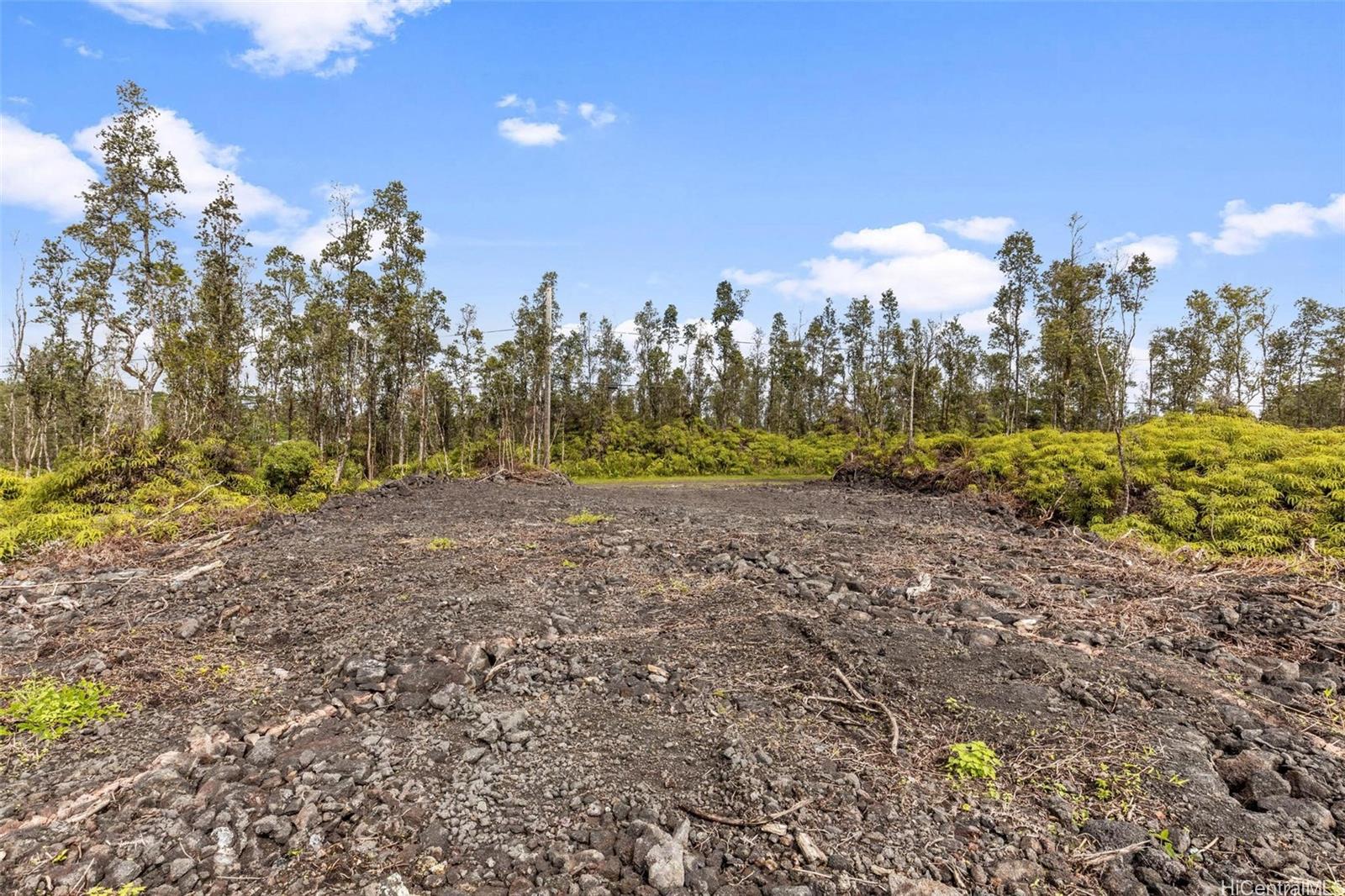 Land in Pahoa 2