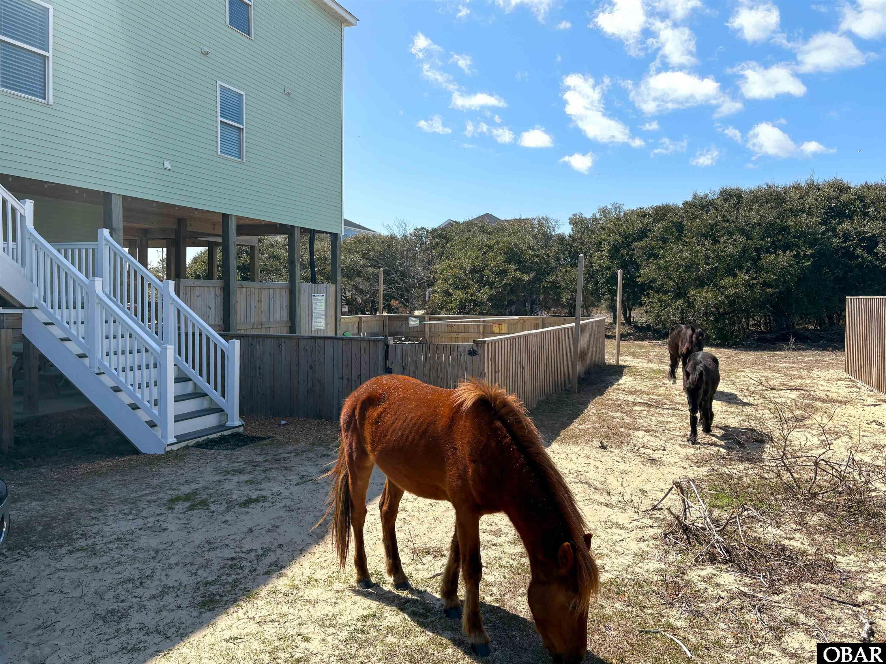 Residential in Corolla 3