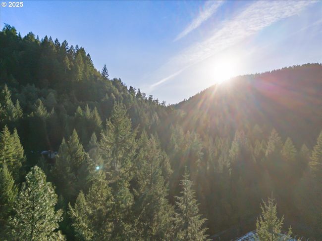 571 Briar Ln, House other with 5 bedrooms, 2 bathrooms and 2 parking in Selma OR | Image 16