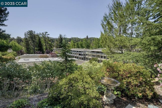 APT-5 - 1217 Running Springs Rd, Condo with 2 bedrooms, 1 bathrooms and 1 parking in Walnut Creek CA | Image 41