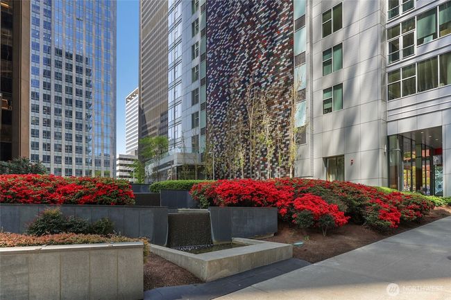 Huge patio area with BBQ | Image 35