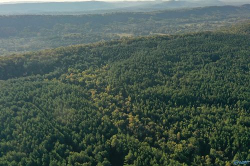 110 AC Mountain Drive, Remlap, AL, 35133 | Card Image