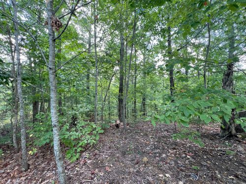 Lot 14 Bayside Blvd, Bean Station, TN, 37708 | Card Image