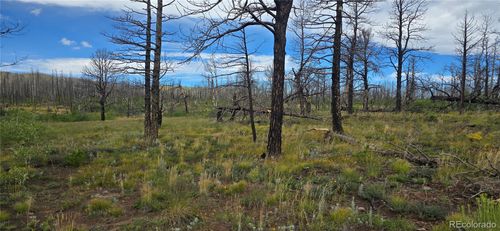 1683 Emery Loop, Fort Garland, CO, 81133-9545 | Card Image