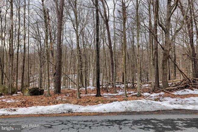 Lot 28 Eagle Path, Home with 0 bedrooms, 0 bathrooms and null parking in Bushkill PA | Image 10