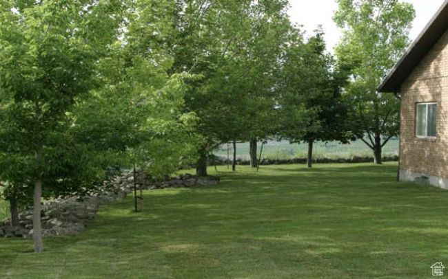 View of yard | Image 8