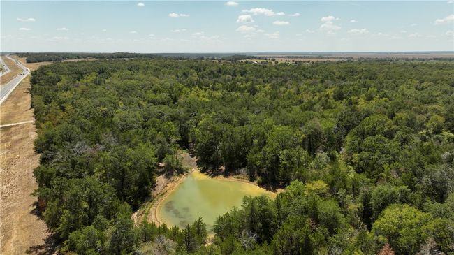 Drone / aerial view of a heavily wooded area and a nearby body of water | Image 7