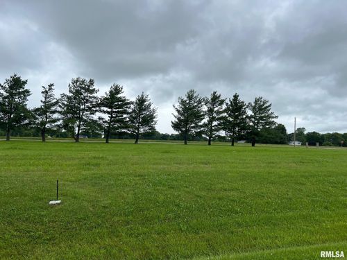 Lot 21 Guinan Rd, Petersburg, IL, 62675 | Card Image