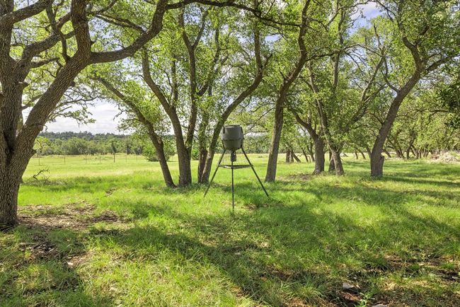 64 Scott Branch Rd, House other with 3 bedrooms, 2 bathrooms and null parking in Harper TX | Image 28