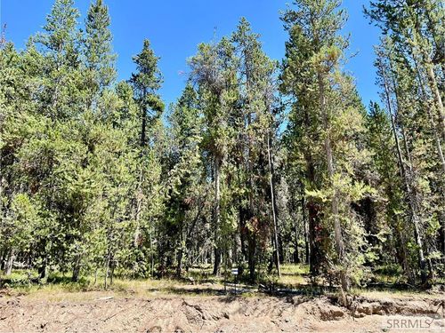 4374 Yeti Ln, Island Park, ID, 83429 | Card Image