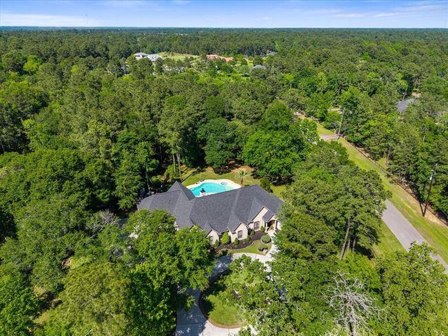 Aerial view reveals the generous lot size, canopy of trees, and private setting that make this home truly one of a kind. | Image 46