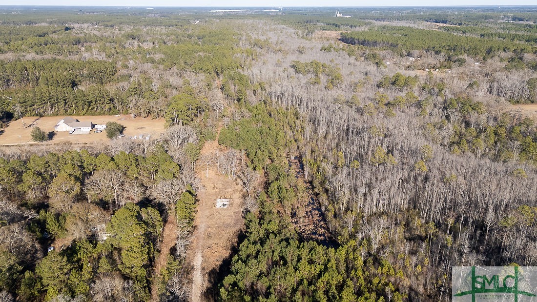 Land in Guyton 2