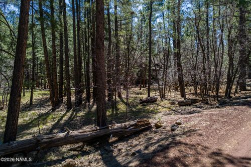 29 Sandige Lane, Mormon Lake, AZ, 86038 | Card Image