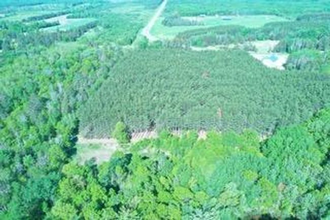 optional 10 acres.jpeg | Image 48