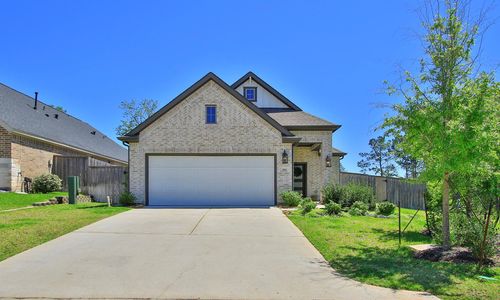 320 Rise Ln, Montgomery, TX, 77316-2933 | Card Image