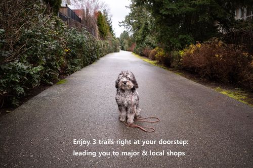 a200-20087 68 Ave, Langley, BC, V2Y0Y2 | Card Image