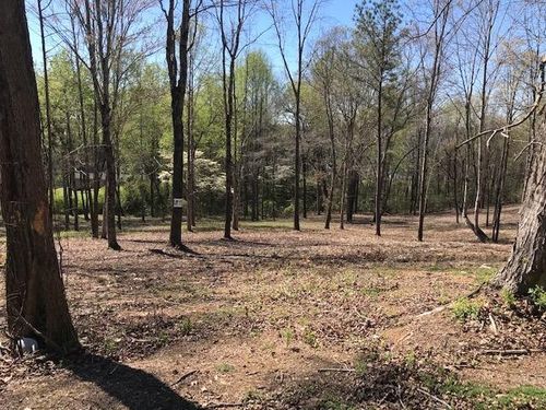 17 Piney View Dr, Spring City, TN, 37381 | Card Image