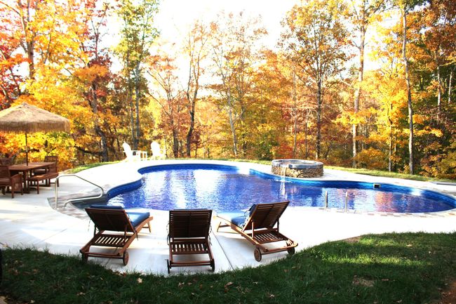 Fall Leaves | Image 101
