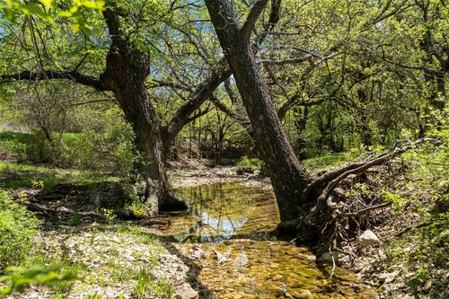 13001 Fm 1201, Gainesville, TX, 76240-0582 | Card Image