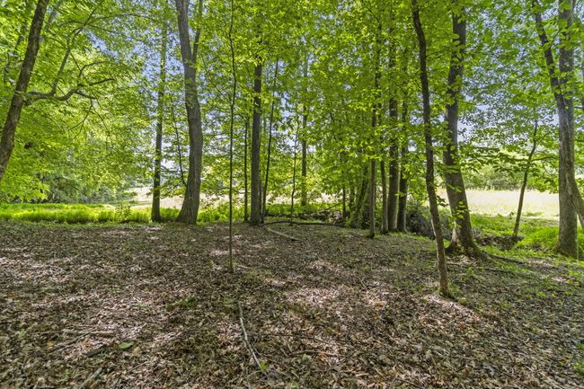 989 Kay Conley Rd, House other with 4 bedrooms, 4 bathrooms and null parking in Rock Spring GA | Image 68