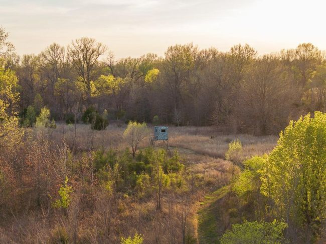 14310 E State Route A, House other with 3 bedrooms, 3 bathrooms and null parking in Archie MO | Image 52
