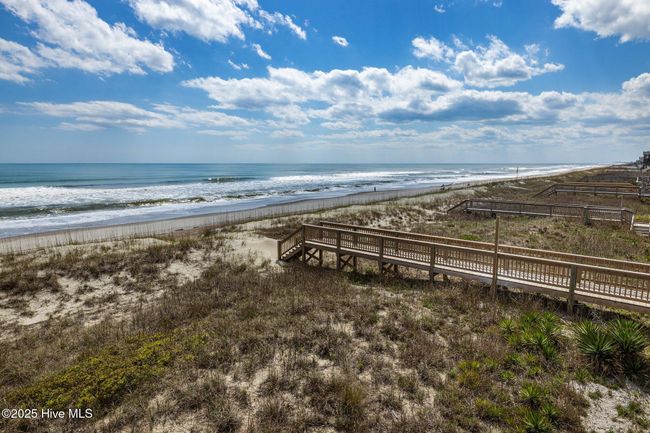 Vegetated Dune Structure | Image 7