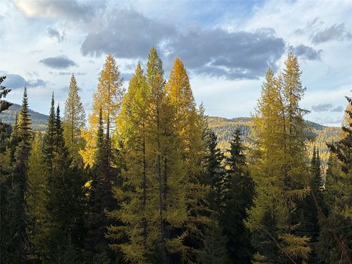 1089 Cedar Hills Rd, Trego, MT, 59934 | Card Image