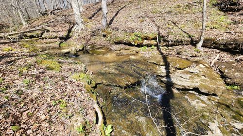 0 Allen Bend Rd, Smithville, TN, 37166 | Card Image