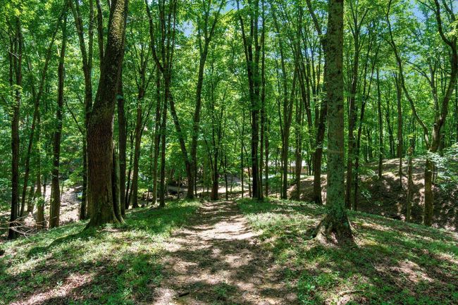 58501 Us Highway 50, Home with 0 bedrooms, 0 bathrooms and null parking in Mc Arthur OH | Image 75