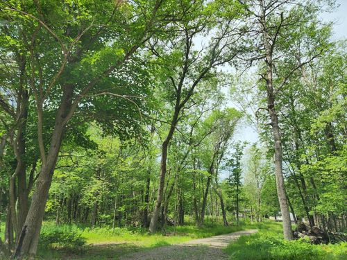 2284 15th Dr, Friendship, WI, 53934-9378 | Card Image