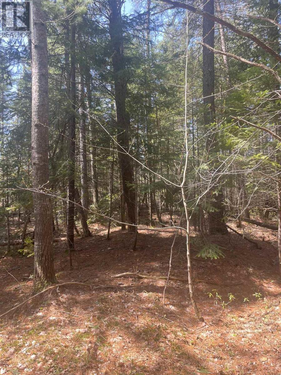 Land in Sault Ste. Marie 2