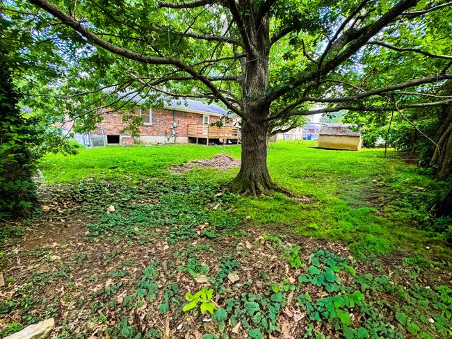113 Dove Dr, House other with 3 bedrooms, 2 bathrooms and null parking in Lawrenceburg KY | Image 21