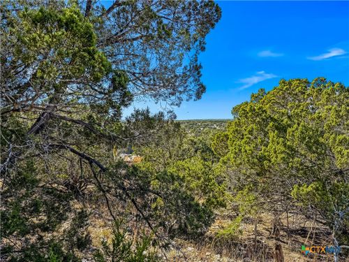 2900 Rocky Ridge Loop, Canyon Lake, TX, 78133 | Card Image