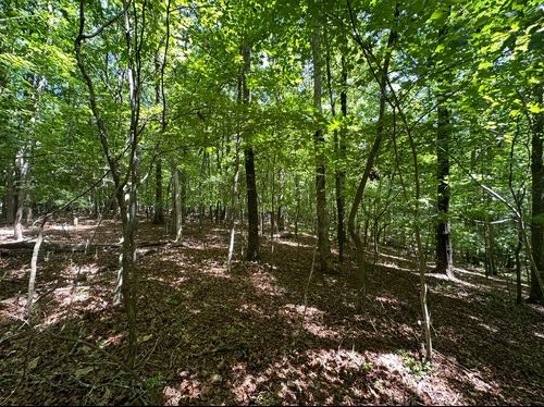 0 Quintard Rd, Sewanee, TN, 37375 | Card Image