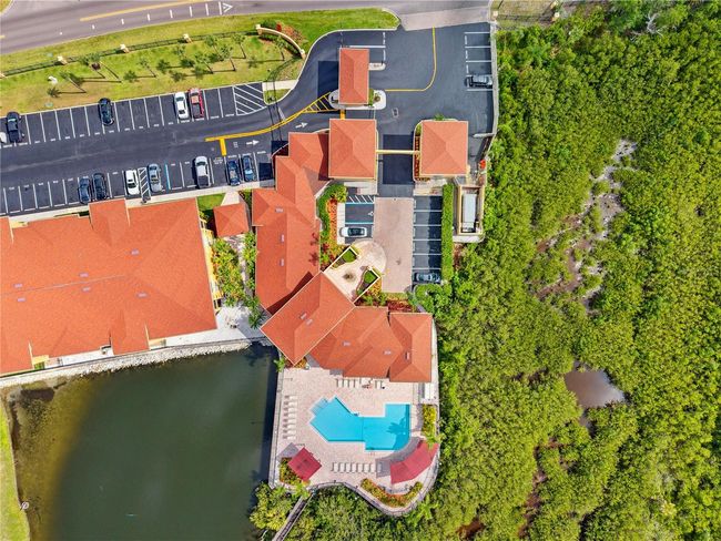 APT-102 - 4307 Bayside Village Dr, Condo with 2 bedrooms, 2 bathrooms and null parking in TAMPA FL | Image 26