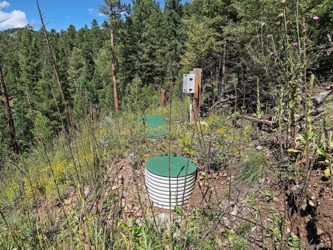 13809 Elsie Rd, Home with 0 bedrooms, 0 bathrooms and null parking in Conifer CO | Image 8