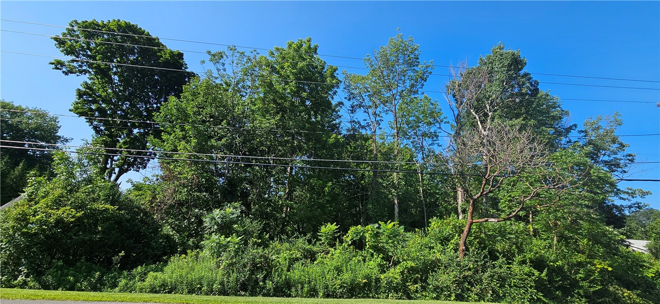 Land in Webster 5