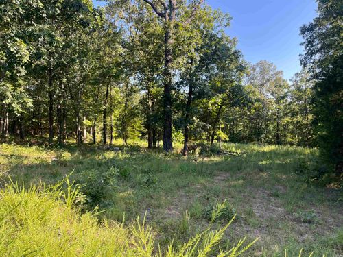 11 Talon Ln, Edgemont, AR, 72044 | Card Image