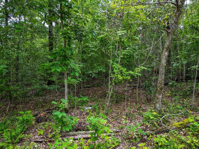 1106 Boone Hollow Rd, Home with 0 bedrooms, 0 bathrooms and null parking in Powell MO | Image 18