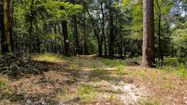 000 Highway 96 Byp, Home with 0 bedrooms, 0 bathrooms and null parking in Silsbee TX | Image 24
