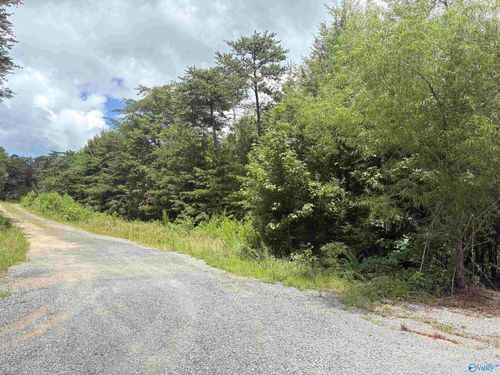 Lot 32 County Road 1951, Mentone, AL, 35984 | Card Image