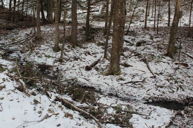 LOT-17 - 000 Wetherbee Farm Rd, Home with 0 bedrooms, 0 bathrooms and null parking in Lisbon NH | Image 10